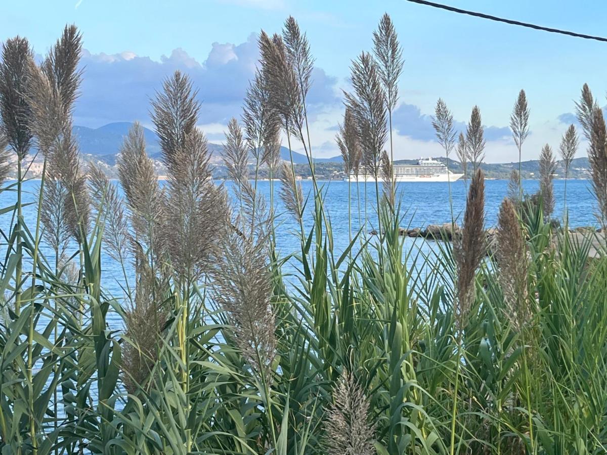 ליקסורי Apollonides Seafront Villa1 Aoede מראה חיצוני תמונה