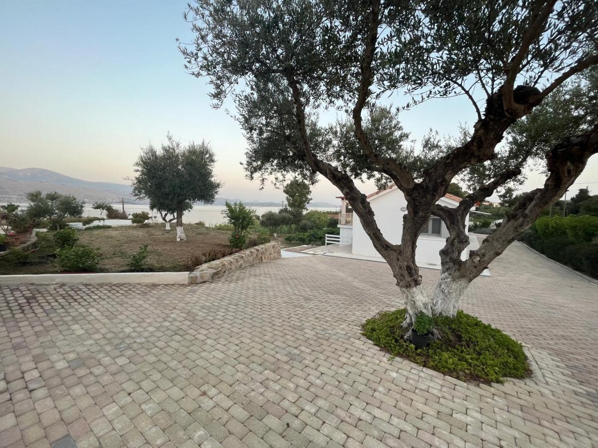 ליקסורי Apollonides Seafront Villa1 Aoede מראה חיצוני תמונה