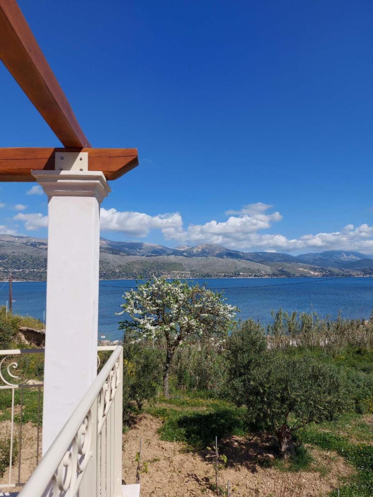 ליקסורי Apollonides Seafront Villa1 Aoede מראה חיצוני תמונה
