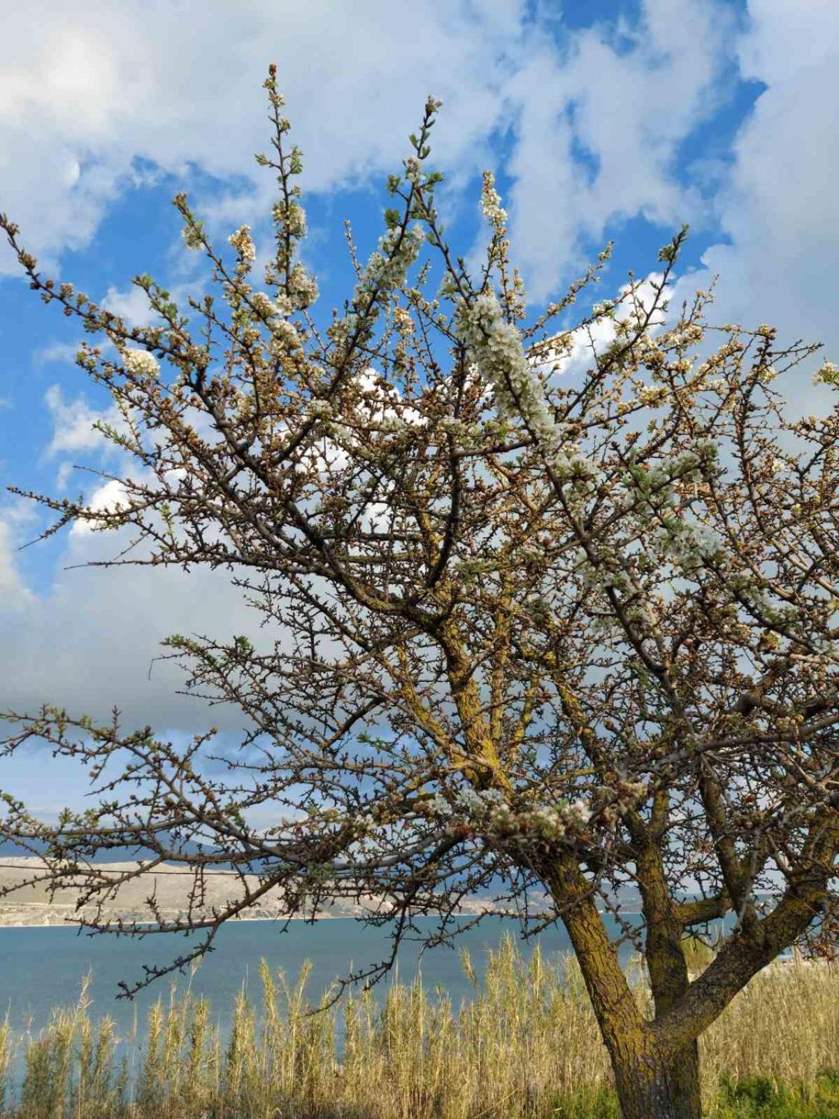 ליקסורי Apollonides Seafront Villa1 Aoede מראה חיצוני תמונה